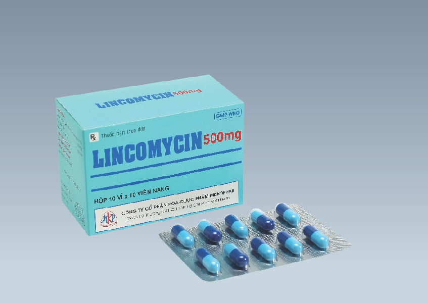 lincocin 500 mg tablet