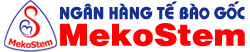 Mekostem logo