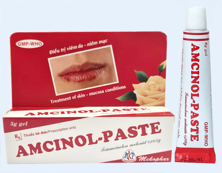 Amcinol-Paste - Mekophar